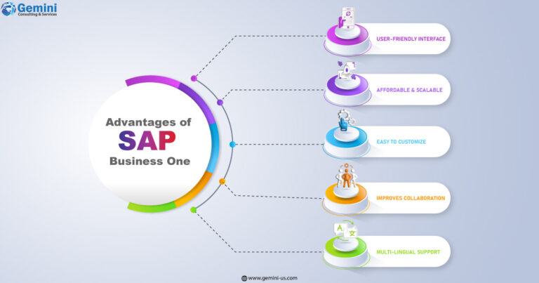 https://gemini.gcs-us.com/wp-content/uploads/2023/05/Infographic-images-SAP-Business-One-or-Oracle-NetSuite-LOGO-768x403.jpg